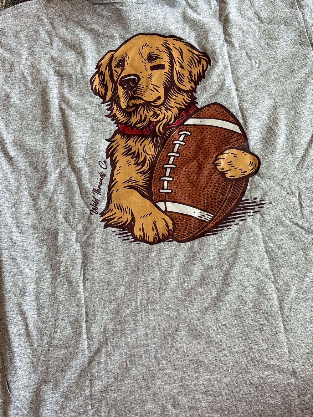 Gray Kids Graphic Tee with Brown Retriever and Football